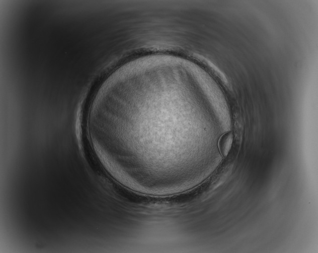 X0000087590631200705181219