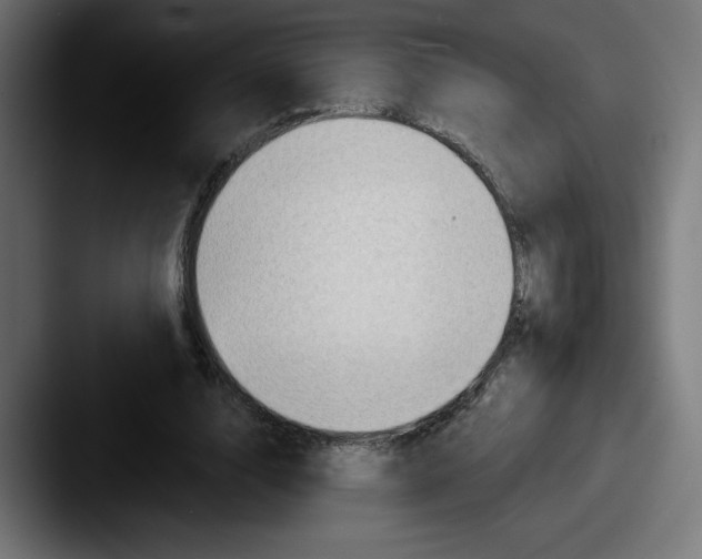 X0000087590632200705181219