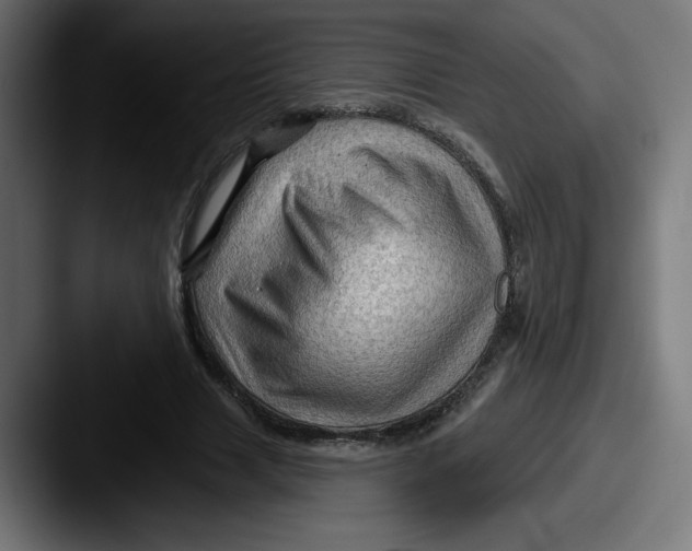 X0000087590633200705181220