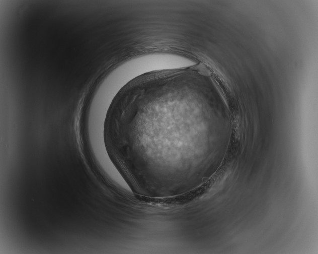 X0000087590634200705181220