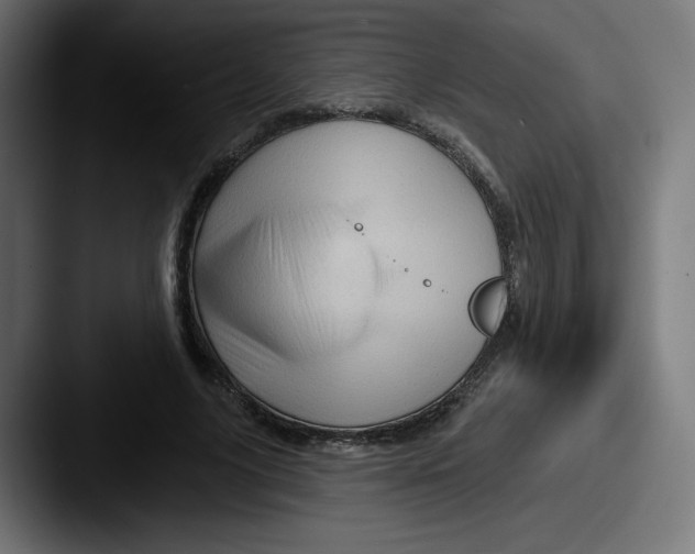 X0000087590635200705181220