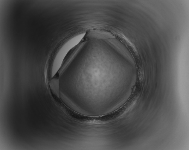 X0000087590637200705181220