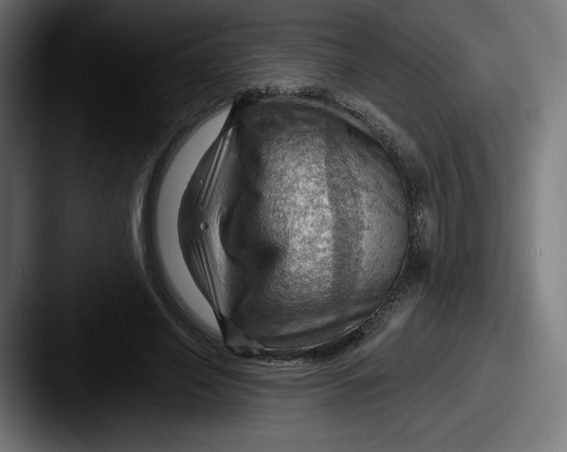 X0000087590638200705181220