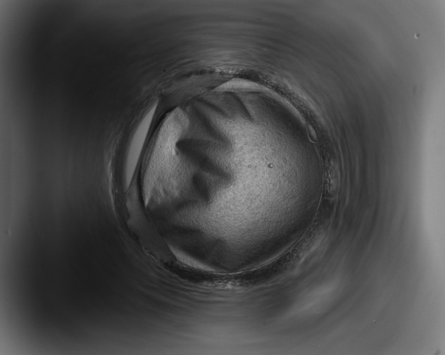 X0000087590639200705181220