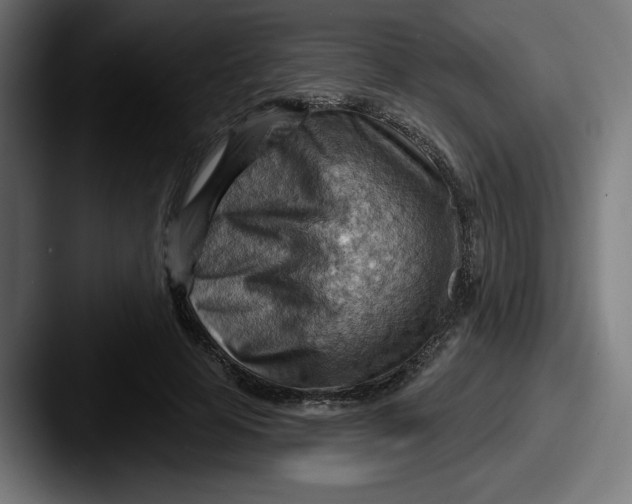 X0000087590641200705181220