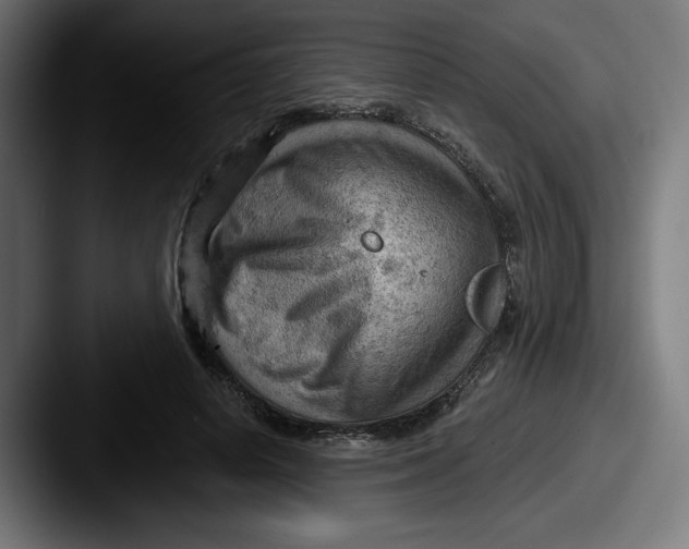 X0000087590642200705181220