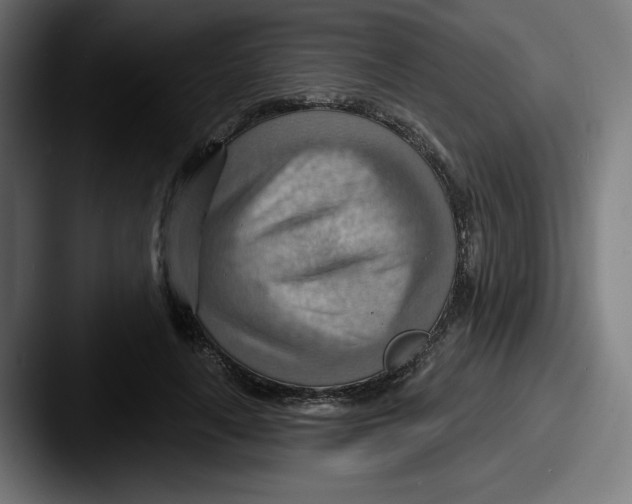 X0000087590643200705181220