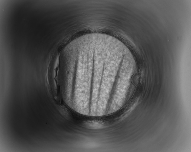 X0000087590644200705181220