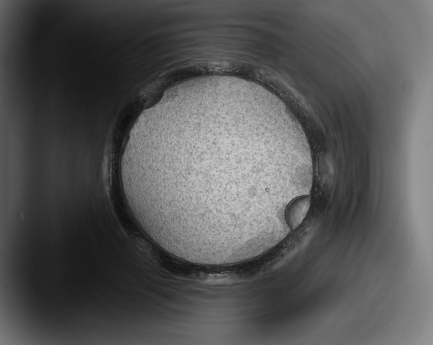 X0000087590645200705181220