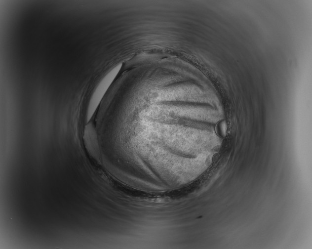 X0000087590646200705181220