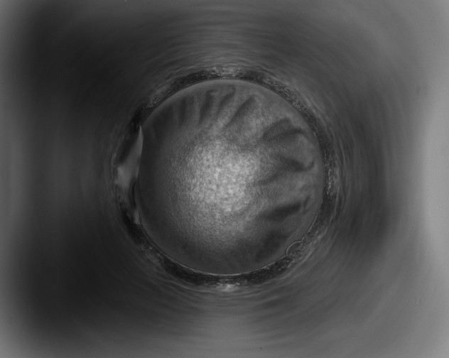 X0000087590647200705181220