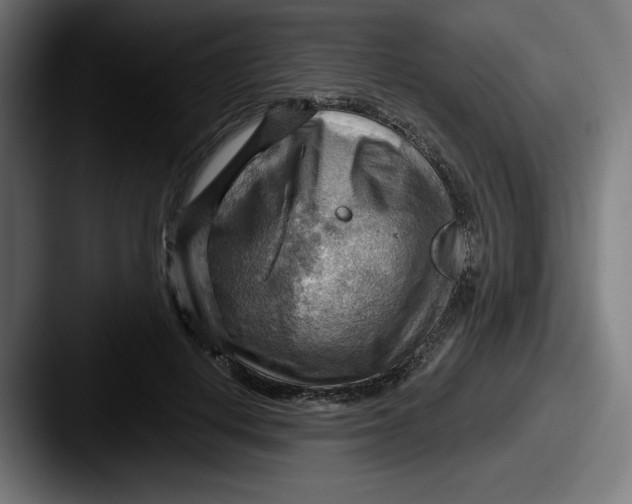 X0000087590648200705181220