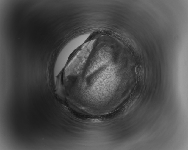 X0000087590649200705181220