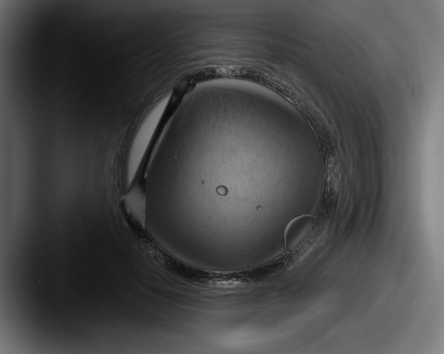 X0000087590650200705181220