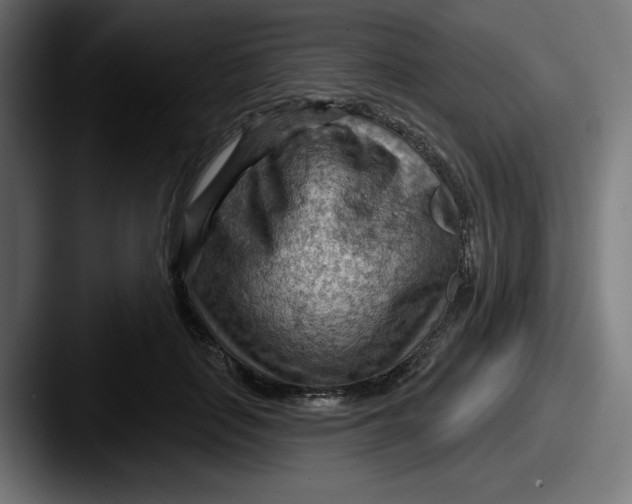 X0000087590651200705181220