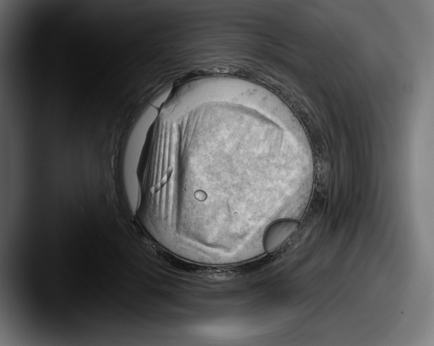 X0000087590652200705181220