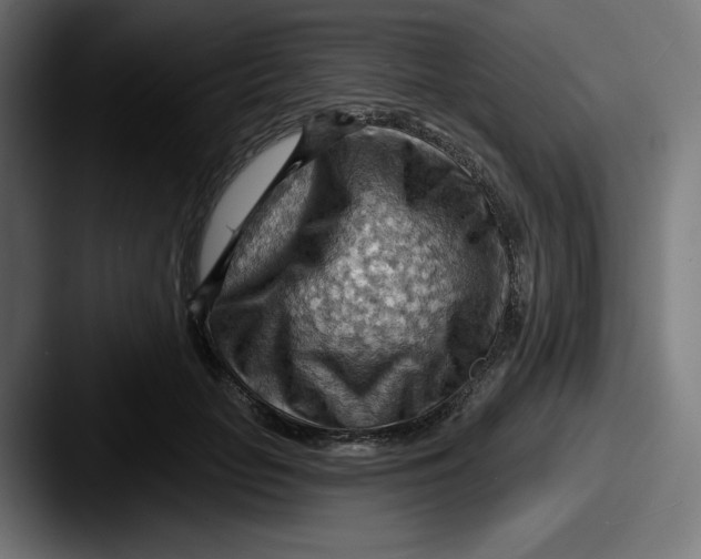 X0000087590653200705181220