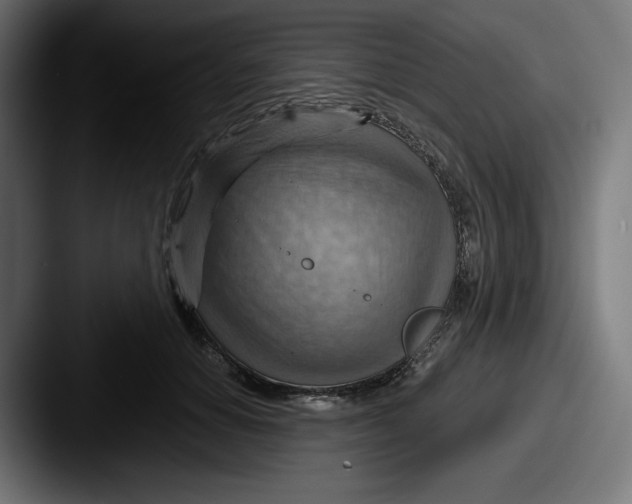 X0000087590654200705181220