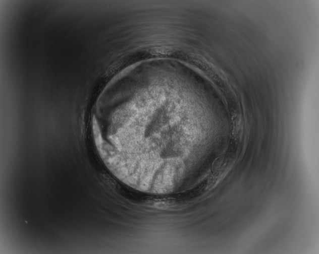 X0000087590655200705181220