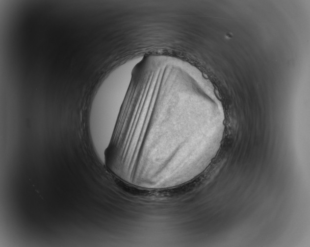 X0000087590656200705181220