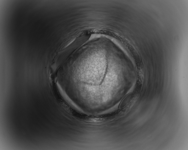 X0000087590657200705181220