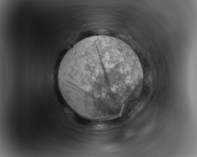 X0000087590658200705181220