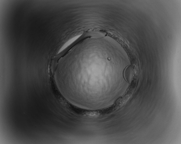 X0000087590659200705181220