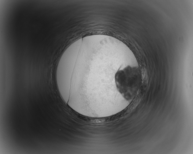 X0000087590660200705181220