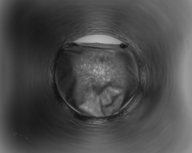 X0000087590661200705181220