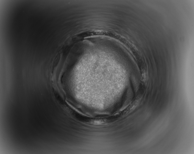 X0000087590662200705181220