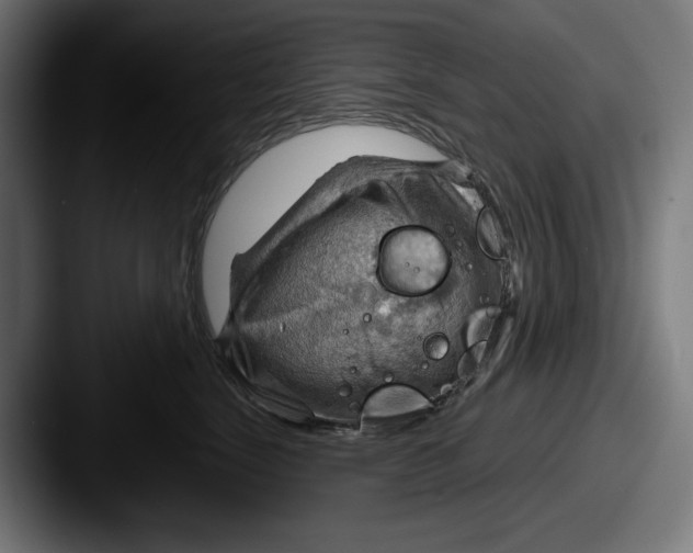 X0000087590664200705181220