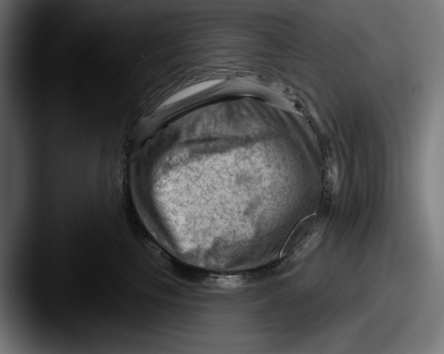 X0000087590665200705181220