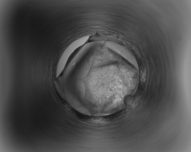 X0000087590666200705181220