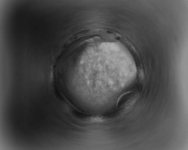 X0000087590668200705181220