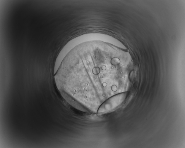 X0000087590670200705181220