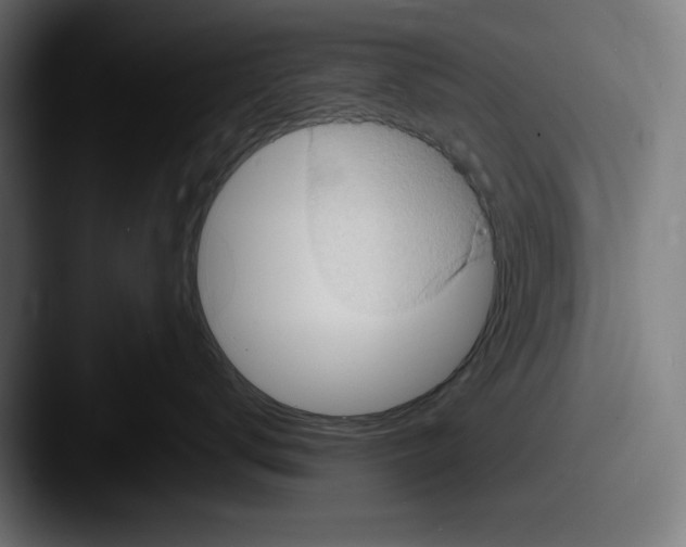 X0000087590672200705181220