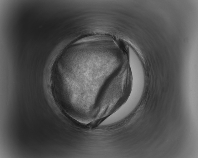 X0000087590673200705181219