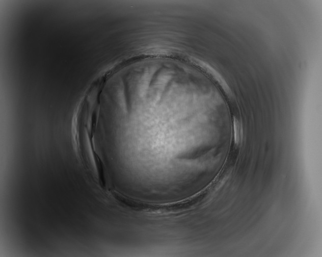 X0000087590675200705181219