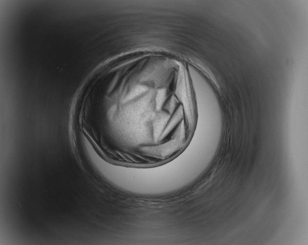 X0000087590676200705181219