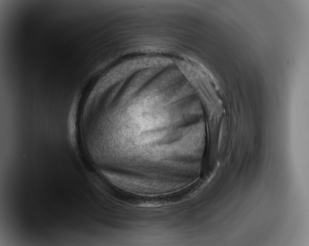 X0000087590677200705181219