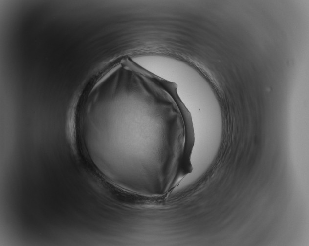 X0000087590678200705181219