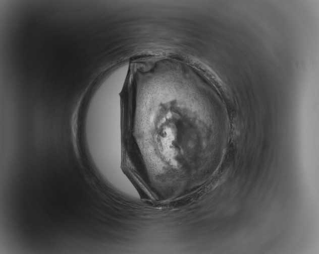 X0000087590679200705181219