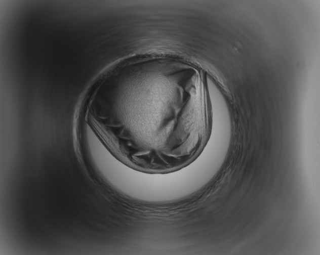 X0000087590680200705181219