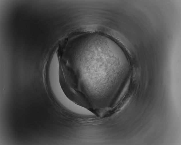 X0000087590681200705181219