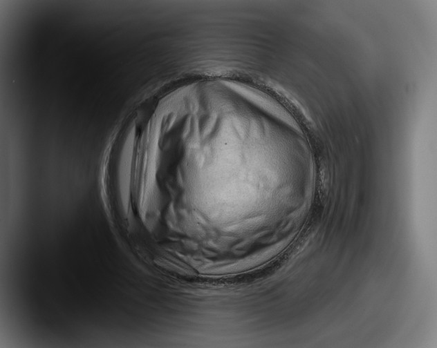 X0000087590682200705181219