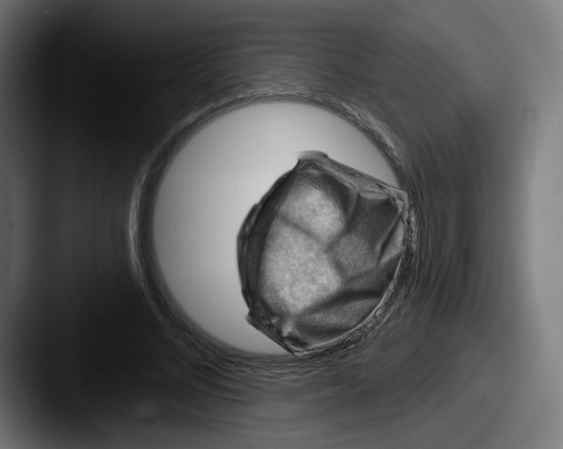 X0000087590684200705181219