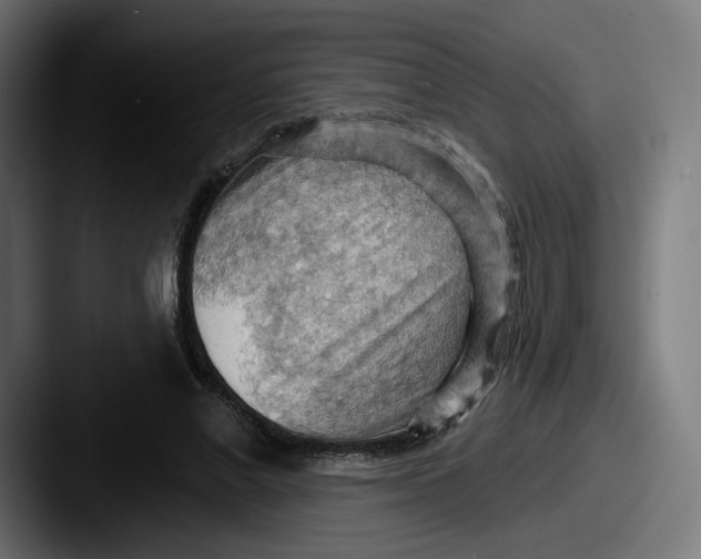 X0000087590685200705181219