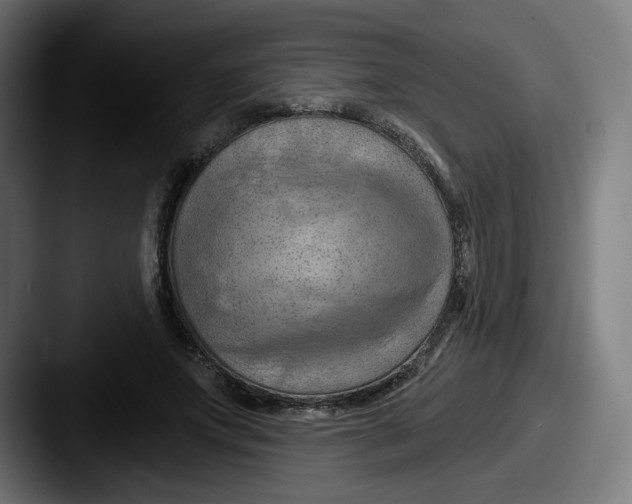 X0000087590687200705181219