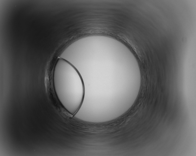 X0000087590688200705181219