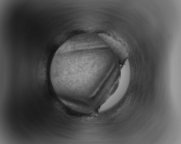 X0000087590689200705181219